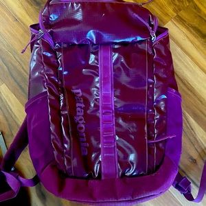 27 L Patagonia Backpack (purple)